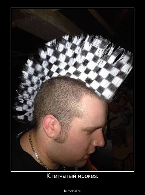 Клетчатый ирокез.