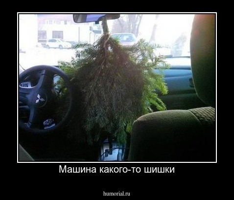 Машина какого-то шишки