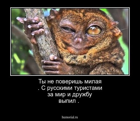 Ты не поверишь милая . С русскими туристами  за мир и дружбу выпил .
