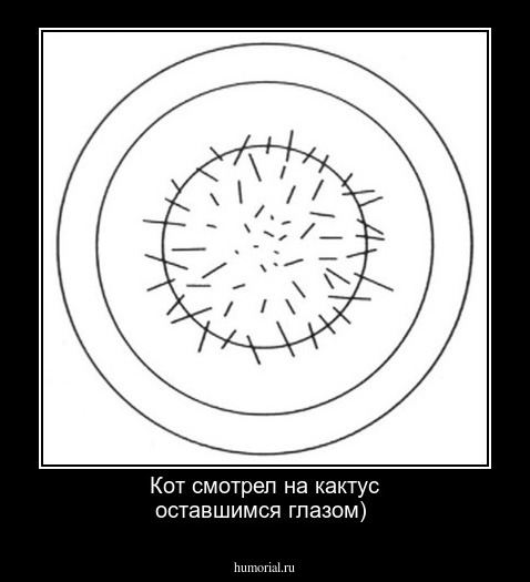 Кот смотрел на кактус оставшимся глазом) 