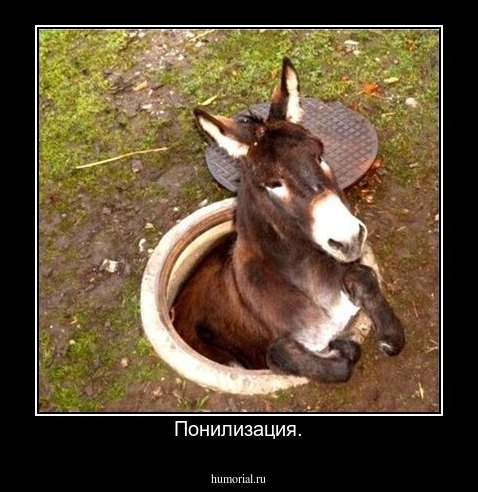 Понилизация.