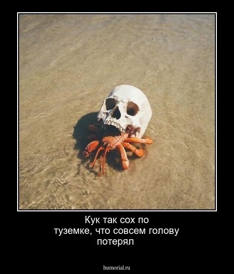 Кук так сох по туземке, что совсем голову потерял 
