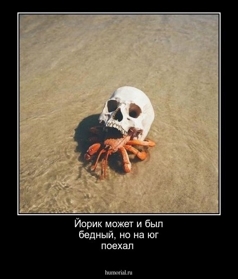 Йорик может и был бедный, но на юг поехал 