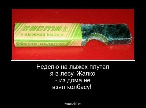 Неделю на лыжах плутал я в лесу. Жалко - из дома  не взял колбасу!