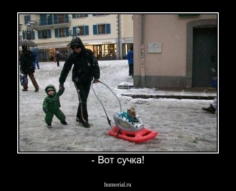 - Вот сучка!