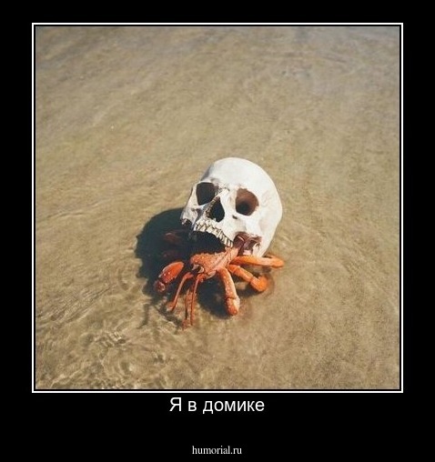 Я в домике