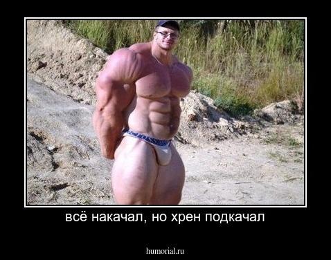 всё накачал, но хрен подкачал