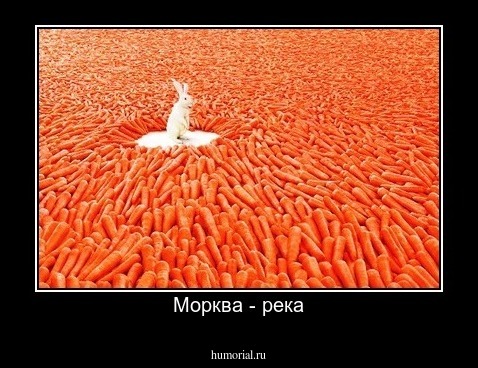 Морква - река