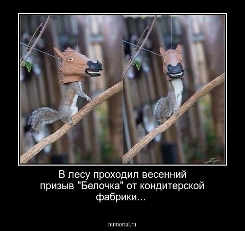 В лесу проходил весенний призыв "Белочка" от кондитерской фабрики...