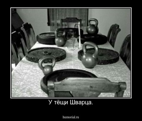 У тёщи Шварца.