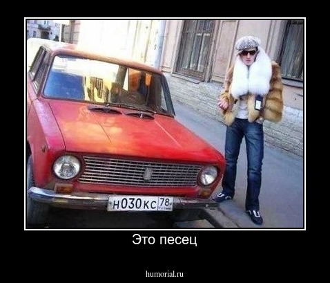 Это песец