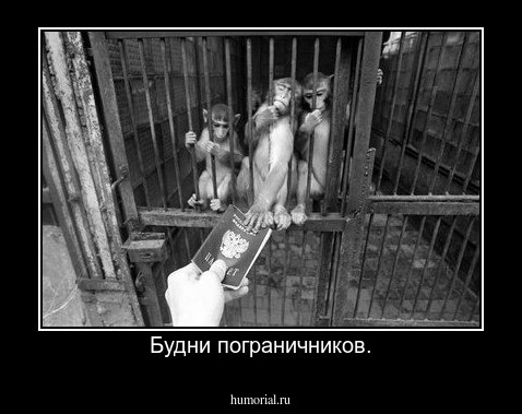 Будни пограничников.