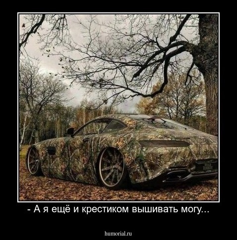 - А я ещё и крестиком вышивать могу...