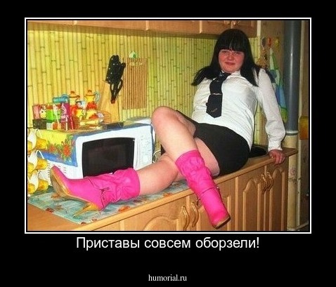 Приставы совсем оборзели!