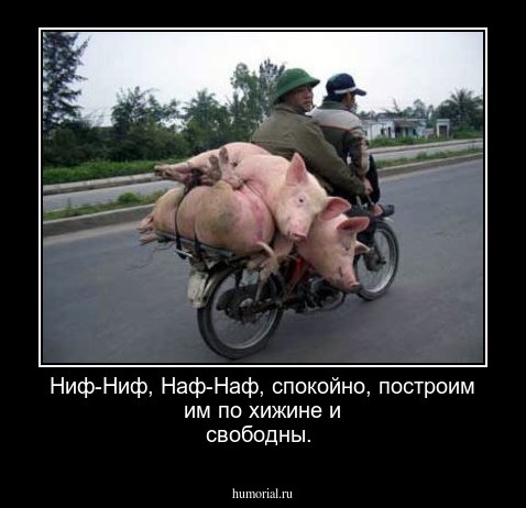  Ниф-Ниф, Наф-Наф, спокойно, построим им по хижине и свободны.