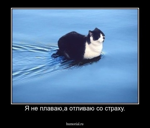 Я не плаваю,а отливаю со страху.