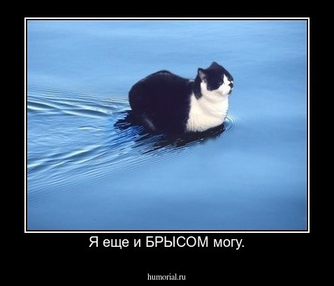 Я еще и БРЫСОМ могу.