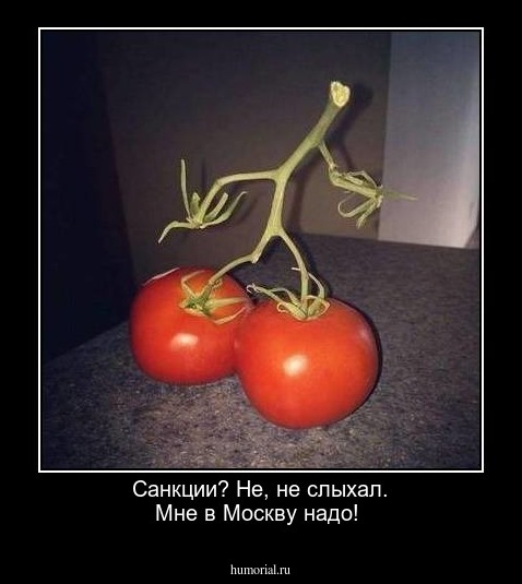 Санкции? Не, не слыхал. Мне в Москву надо! 