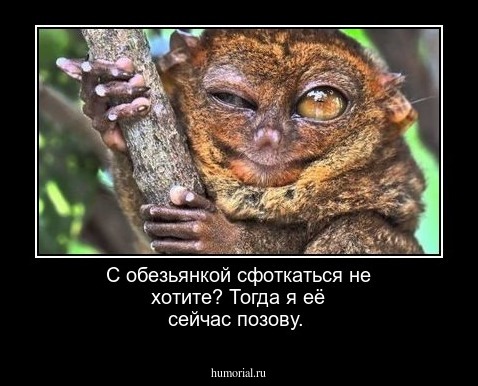С обезьянкой сфоткаться не хотите? Тогда я её сейчас позову.