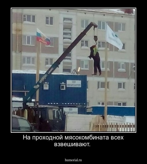 На проходной мясокомбината    всех  взвешивают.