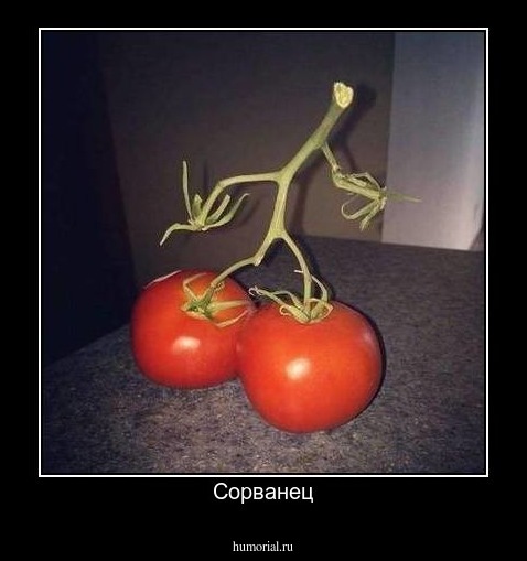 Сорванец