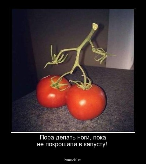 Пора делать ноги, пока не покрошили в капусту!