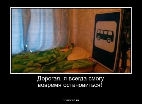 Дорогая, я всегда смогу вовремя остановиться!