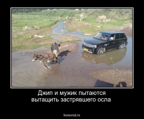 Джип и мужик пытаются вытащить застрявшего осла