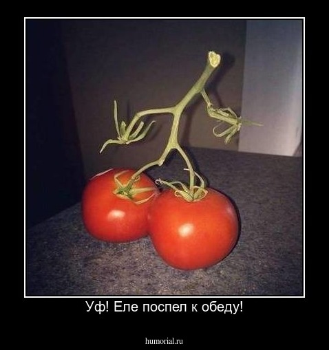 Уф! Еле поспел к обеду!