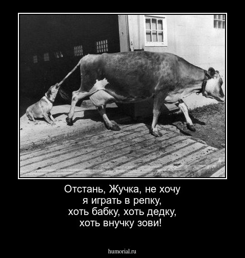Отстань, Жучка, не хочу я играть в репку, хоть бабку, хоть дедку, хоть внучку зови!