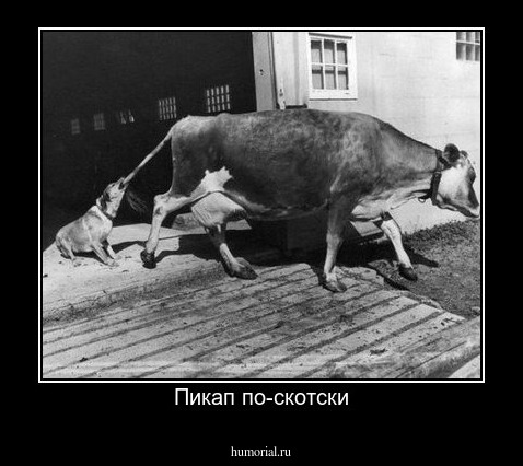 Пикап по-скотски
