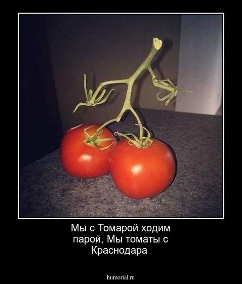 Мы с Томарой ходим парой, Мы томаты с Краснодара