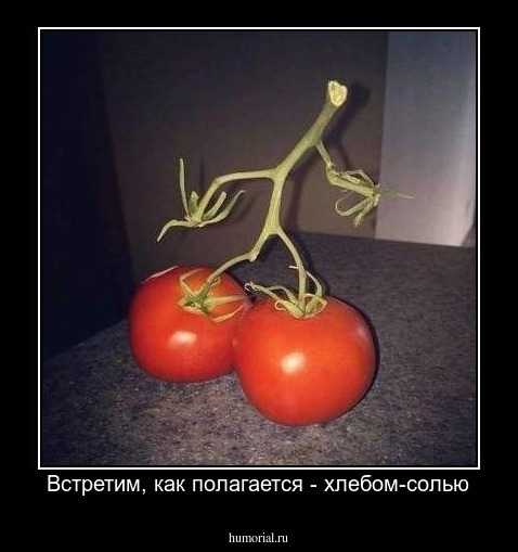 Встретим, как полагается - хлебом-солью