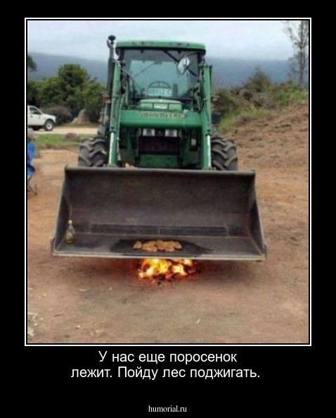 У нас еще поросенок лежит. Пойду лес поджигать.