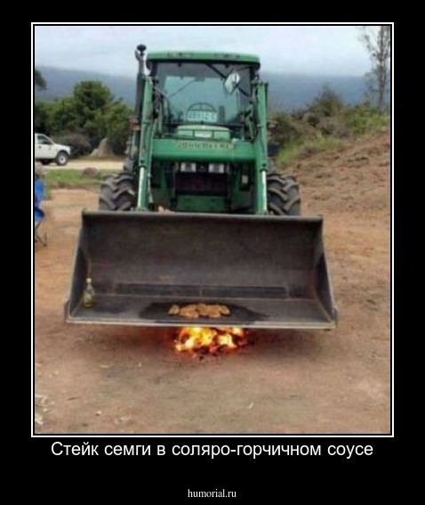 Стейк семги в соляро-горчичном соусе