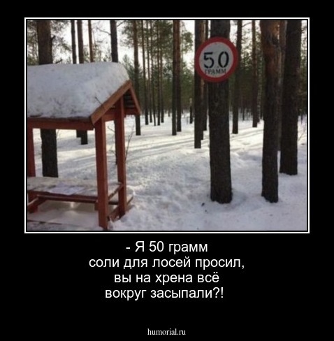 - Я 50 грамм соли для лосей просил, вы на хрена всё вокруг засыпали?!