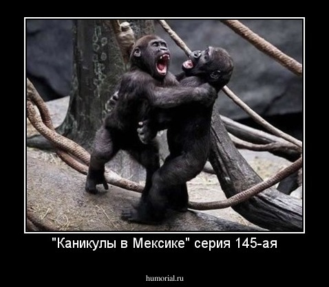"Каникулы в Мексике" серия 145-ая