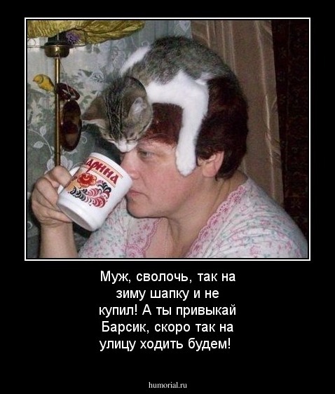 Муж, сволочь, так на зиму шапку и не купил! А ты привыкай Барсик, скоро так на улицу ходить будем!