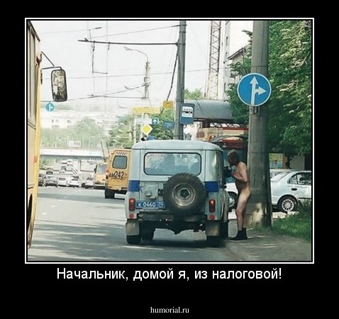 Начальник, домой я, из налоговой!