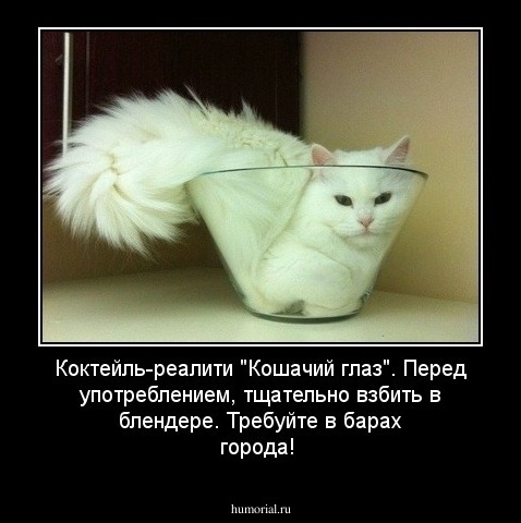 Коктейль-реалити "Кошачий глаз". Перед употреблением, тщательно взбить в блендере. Требуйте в барах города!