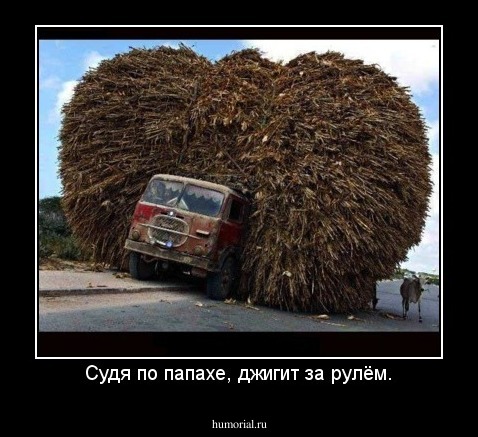 Судя по папахе, джигит за рулём.