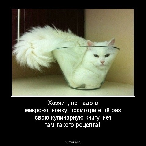 Хозяин, не надо в микроволновку, посмотри ещё раз свою кулинарную книгу, нет там такого рецепта!