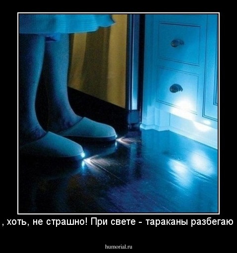 Так, хоть, не страшно! При свете - тараканы разбегаются!