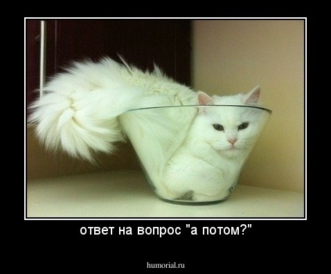 ответ на вопрос "а потом?"