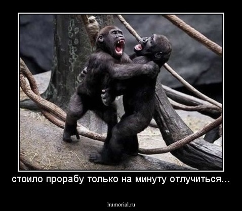 стоило прорабу только на минуту отлучиться...