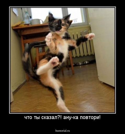 что ты сказал?! ану-ка повтори!