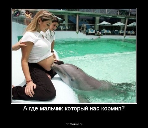 А где мальчик который нас кормил?