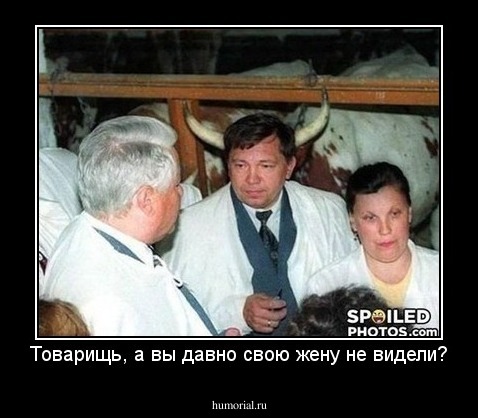 Товарищь, а вы давно свою жену не видели?