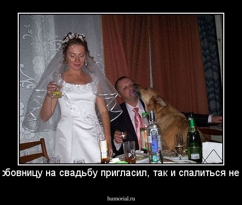 зря любовницу на свадьбу пригласил, так и спалиться недолго!
