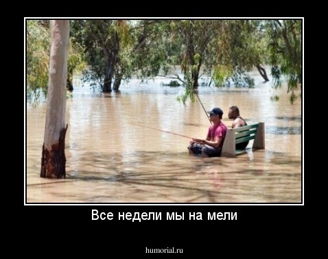 Все недели мы на мели